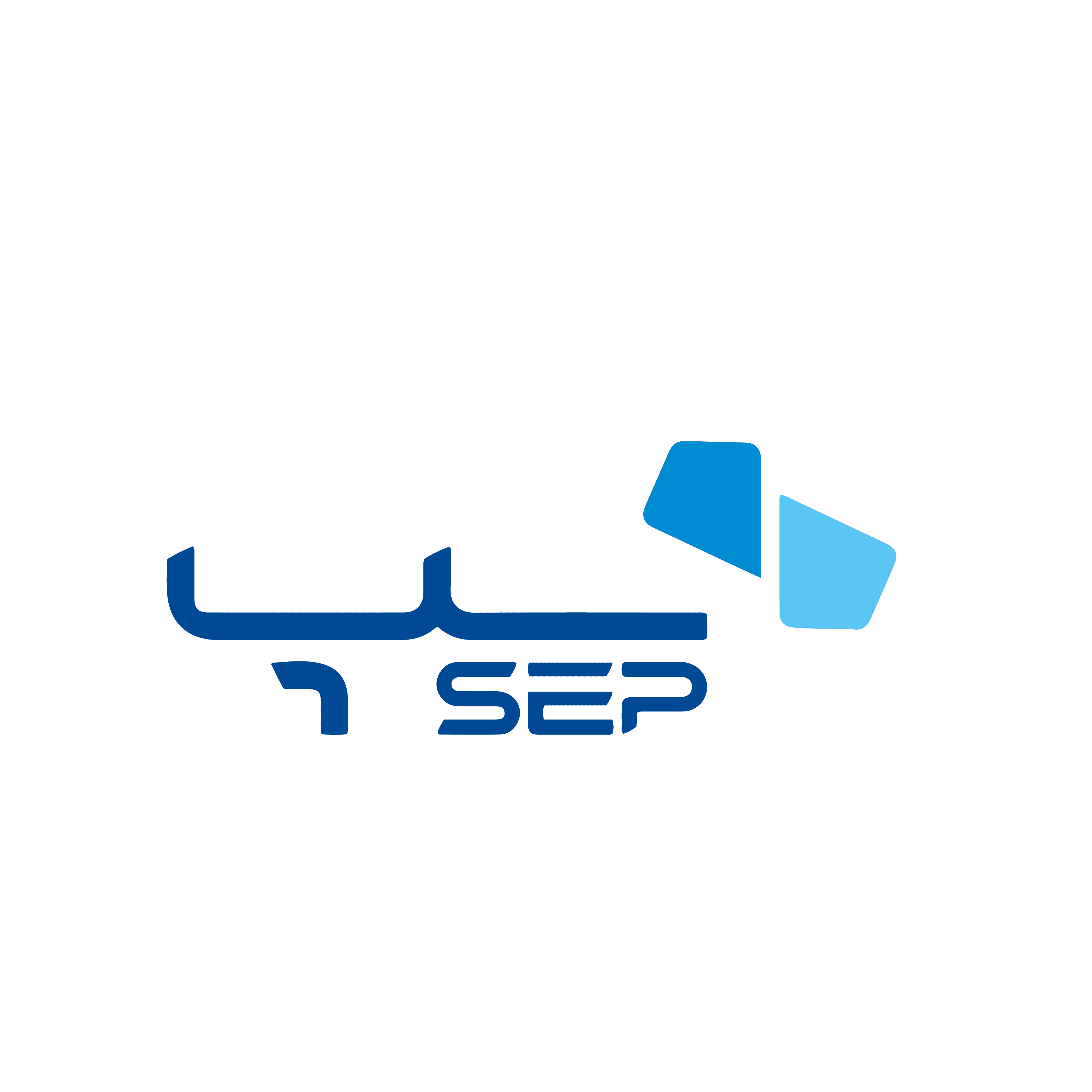 نشان پرداخت الکترونیک سامان